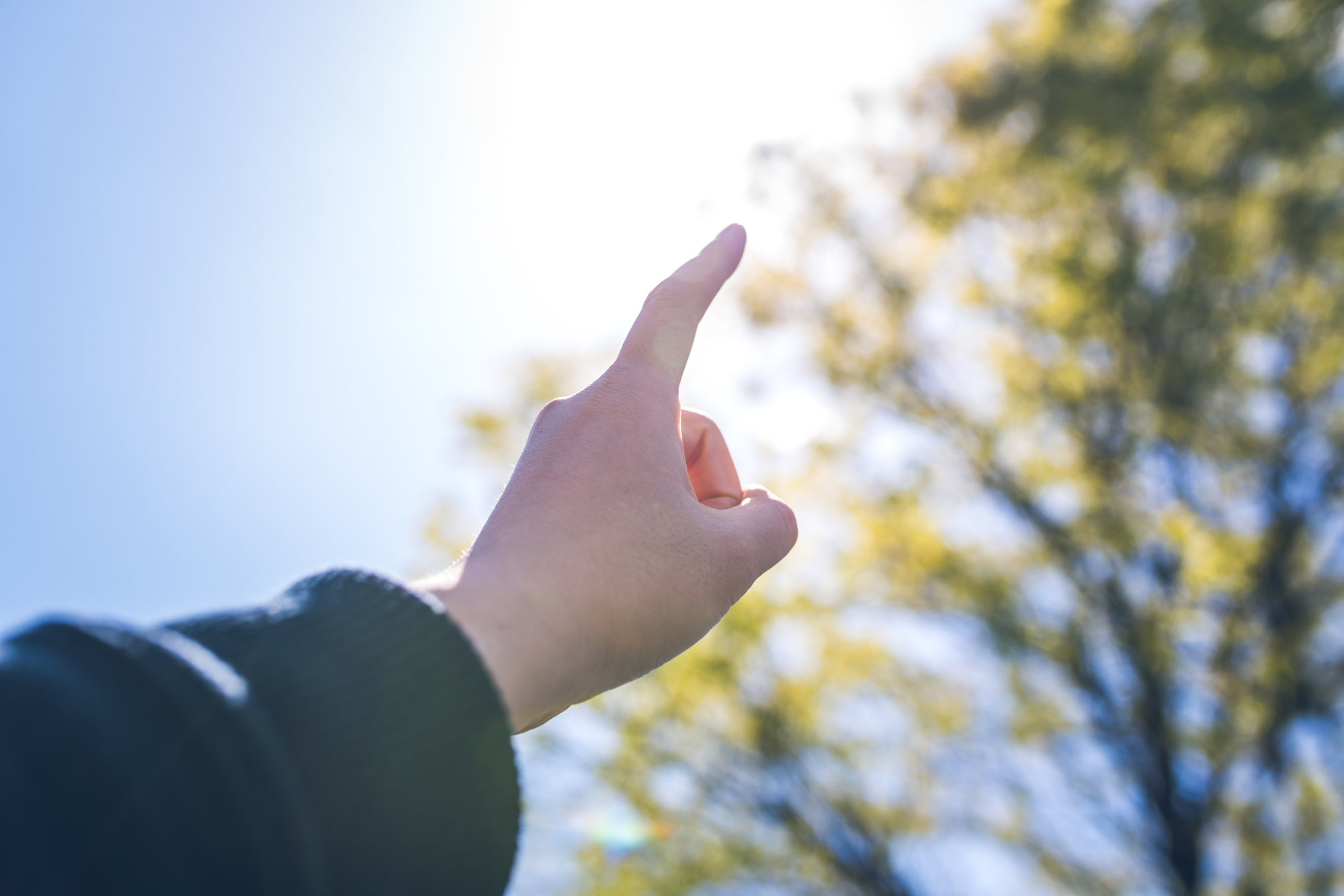 イメージフォト